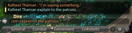 Screeshot of the chat window in Final Fantasy 14. It reads : Kalheel Thaman explain to the patrons. At the bottom /em explain to the patrons. Is written as well.