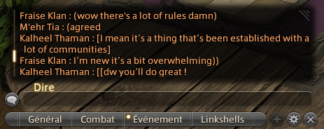 Screeshot of the chat window in Final Fantasy 14. Various exemples of combinaisons of symbols are used in a little Out Of Character interaction.