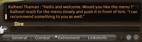 Screeshot of the chat window in Final Fantasy 14. It reads : Kalheel Thaman : “Hello and welcome. Would you like the menu ?” Kalheel reach for the menu slowly and push it in front of him. “I can recommend something to you as well.”